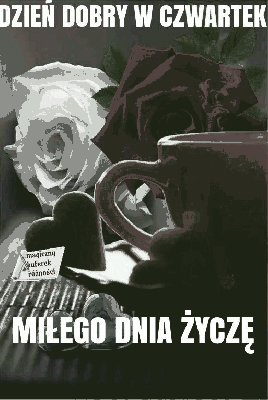 Czerwona i biała róża czwartek